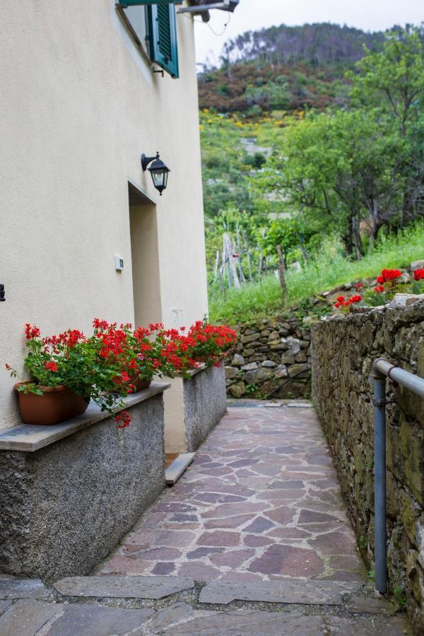 Tra le mura Levanto Exterior foto