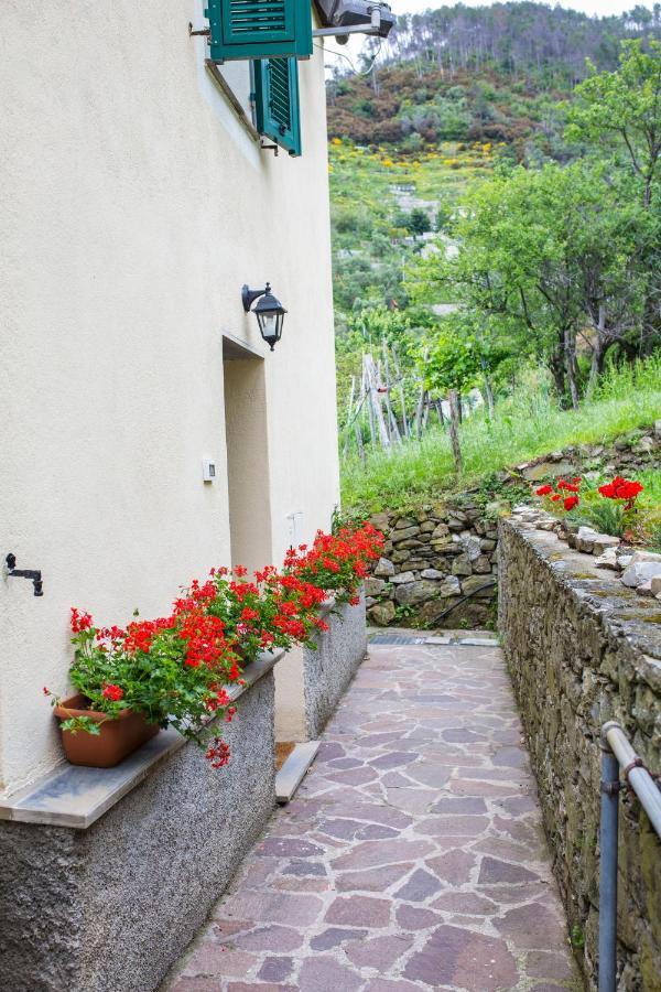 Tra le mura Levanto Exterior foto