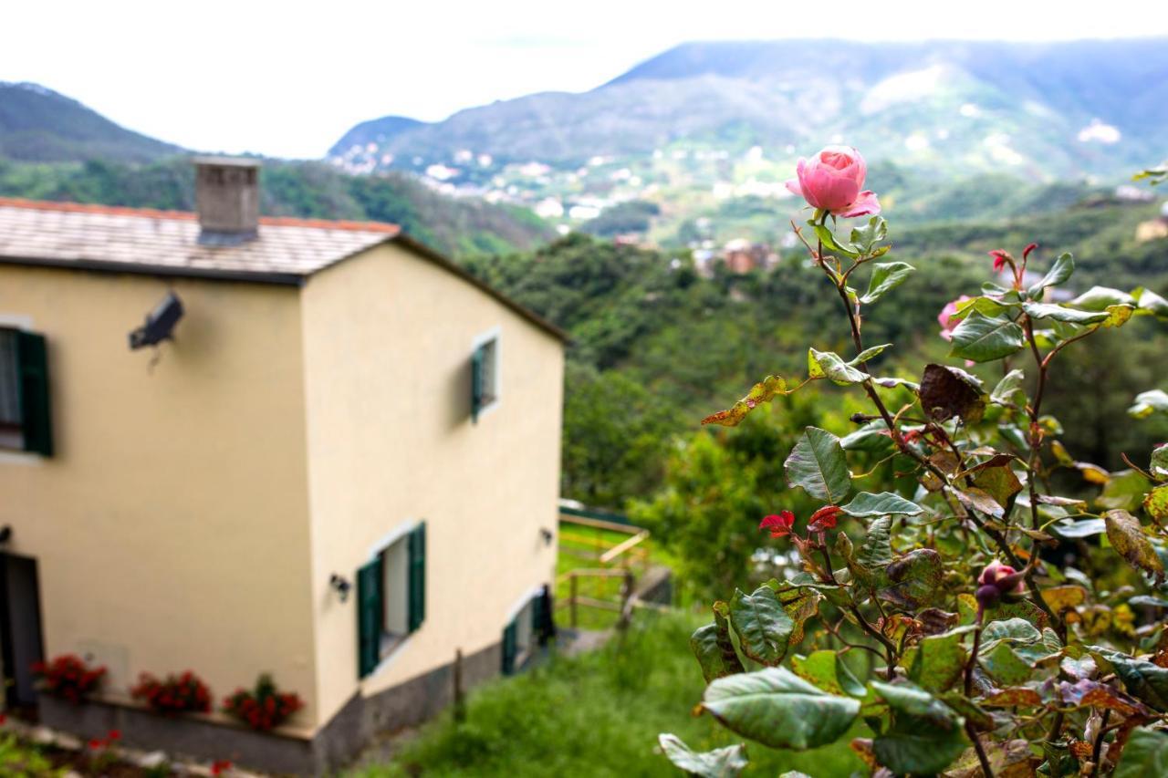 Tra le mura Levanto Exterior foto